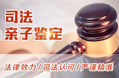 沈阳司法DNA鉴定价格收费,